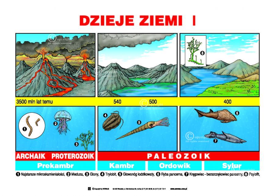 Przyroda_cz____c_54fd72f09073c.jpg