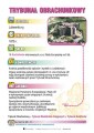 14_trybunal_obrachunkowy