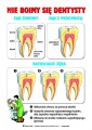 Nie_boimy_sie_dentysty