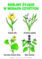 Rosliny_zyjace_w_wodach_czystych_eko7